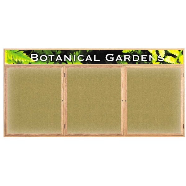 Open Faced Traditional Corkboard, 48x36"
